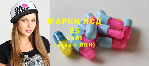 дживик Каменка