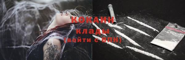 дживик Каменка