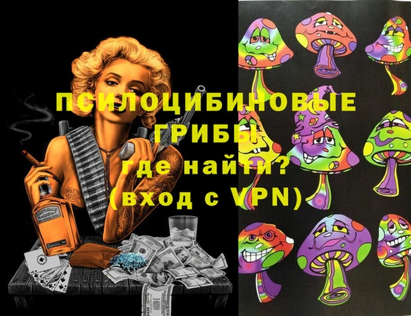дживик Каменка