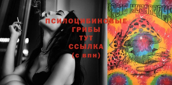 прущая мука Каменногорск