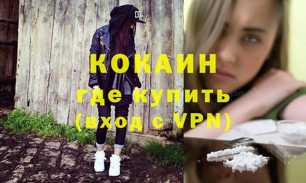 дживик Каменка