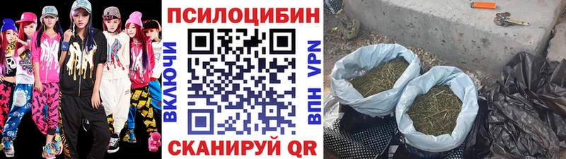 Псилоцибиновые грибы ЛСД  Купить закладки  Ермолино 