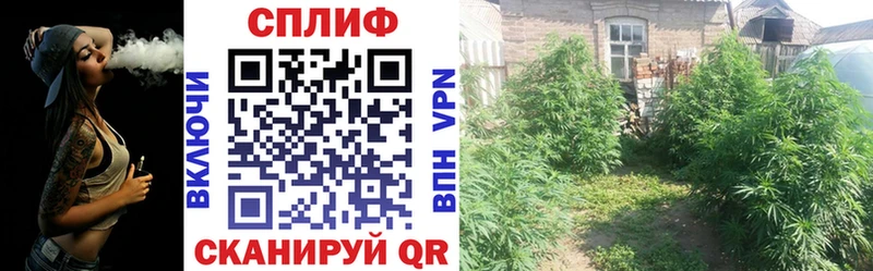Бошки Шишки OG Kush  Купить где  Ермолино 